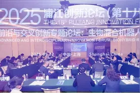 超越人形机器人，上海超前培育“未来的未来产业”图片