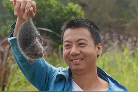 长得像姜但比鸡腿还好吃！这个小众食材突然爆火图片