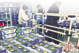 闲置土地“蓝”海生金图片