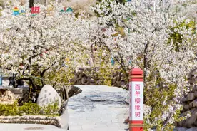本周末，青岛又有「好趣处」！图片