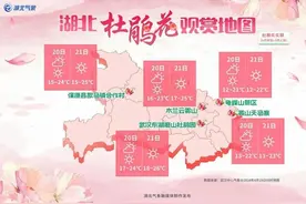 湖北杜鹃花观赏地图来啦！一起去赏花~图片