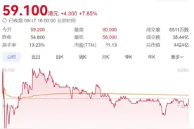 海量财经丨美的集团成为国内第二家“A+H”双重主体上市的家电巨头图片