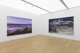 艺术家项楠与童雁汝南两大个展，当代唐人艺术中心北京双空间启幕图片