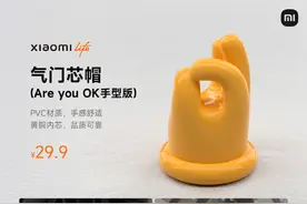 上架仅两天 已有小米汽车Are you OK气门芯帽被偷图片