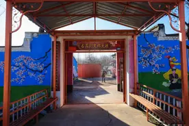 杏花节绽放“致富花” 百姓喜迎旅游季图片