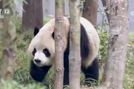 解锁文旅融合“密码” 假日经济“电量”十足图片