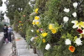 纸钱禁令争议再起，移风易俗要守住倡导底线图片