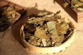 瑞龙中药大讲堂｜河南道地药材淫羊藿图片