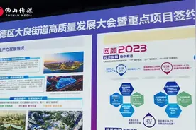 聚焦 | 大良：在春天再出发，续写更多春天的故事图片