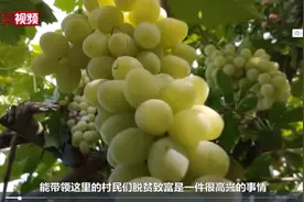 万人说新疆丨努尔的创业路图片