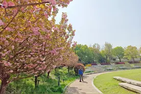 3处免费童趣打卡点！来闵行这里CityWalk，度过美好亲子时光图片