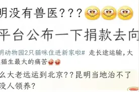 千里运猫重复体检，筹款近300万？三问中国小动物保护协会图片