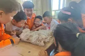 同江市第二小学开展蘑菇种植主题劳动实践活动图片