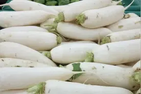 用好白萝卜能止咳！推荐这3种食疗法图片