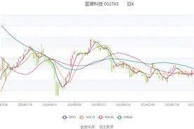 蓝黛科技：2024年上半年净利润6761.65万元 同比增长31.20%图片