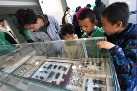 农大昆虫博物馆上新！展品个个“霸气外露”图片