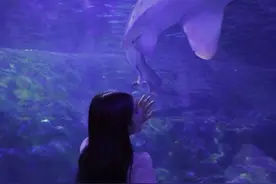炎炎夏日赴一场“海底”之约，盘点杭州及周边5大海洋公园图片