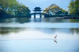 @国足球迷：杭州赛区邀您解锁六条春日之旅线路图片