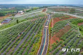 来茶亭，让你实现蓝莓自由图片