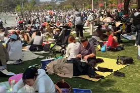 大宁公园像海滨浴场，共青森林公园一公里开半小时？这个周末，上海多个公园在社交平台有“一亿人”图片