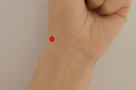 一分不花的养肺法，肺不好、易感冒的人做起来！还能止瘙痒，赚大了~图片