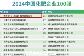 贵州磷化集团实现五连冠！2024中国化肥企业百强榜单发布图片