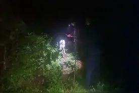 7岁男孩深山捡菌失踪！100多人连夜找了16小时后终于找到了图片