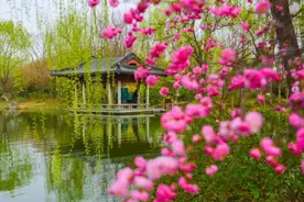当代散文|春日偶感图片
