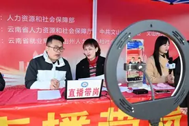 云南抢抓用工“黄金期”稳就业图片