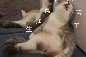 新型“杀猪盘”！留学生投资加密货币，3千元打水漂！图片