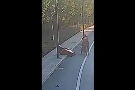 电影都不敢这么拍！杭州一男子停车救人，竟救到自己老婆！图片