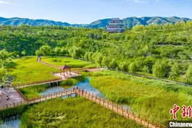 从治山理水到城景共生：解码呼和浩特如何重构“生态算力”图片