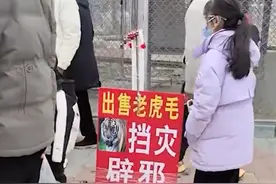 官方通报动物园售卖老虎毛系自然脱落，园方已开除当事保洁员，此前还有动物园卖老虎尿被叫停图片