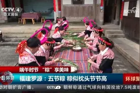 端午时节“粽”享美味 各地特色粽子大盘点！图片