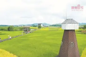 收藏！不出柳州，春节这样玩！这条微信全说清楚了🥳图片