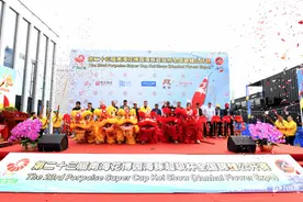 身价过百万！全国顶尖锦鲤在佛山南海花博园“选美”图片
