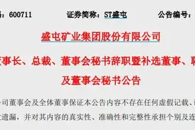 人事变动丨盛屯矿业高层“大换血” ！图片