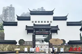 没有银矿的“中国银都” ——湖南着力培育国家中小企业特色产业集群·永兴稀贵金属篇图片