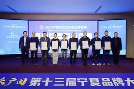 第十三届宁夏品牌大会召开 数字化转型推进品牌价值提升图片