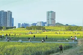 光明区全面推进“百千万工程”提速增效图片