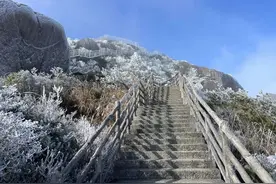 还要跌！最低-8℃！福建迎2025首场雾凇雪景图片
