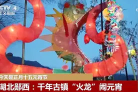 多地活动精彩纷呈“龙腾虎跃”闹元宵 流光溢彩中“烟火气”升腾图片