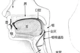 “打呼噜”会损害心脏和血管？止鼾小妙招快来学→图片