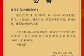 西安市兴庆宫公园发公告：原定于正月初四非遗打铁花、火壶演出取消图片