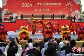 2024中国—东盟迎春嘉年华在福州举行图片