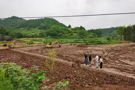 经济观察丨全域土地综合整治，给四川丘区带来啥变化？图片