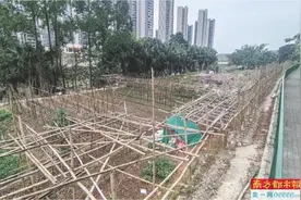 公园绿地一年“长”出百余块菜地图片