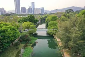 笔架山公园跨福田河通桥了！一口气逛2公园图片