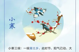 科普日历｜二十四节气·小寒到，天寒地冻，愿君安图片