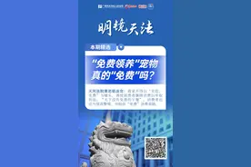 “免费领养”宠物，真的“免费”吗？图片